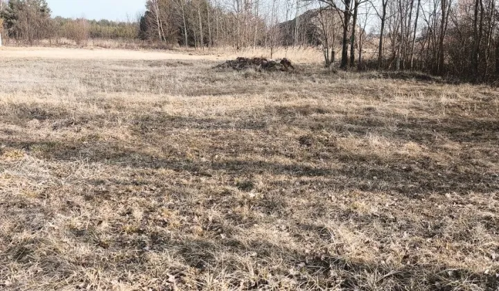 Działka budowlana Łuszczanowice