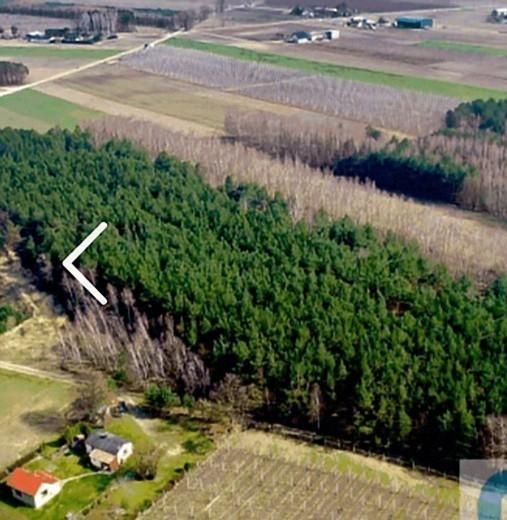 Działka rolna Niemgłowy. Zdjęcie 3