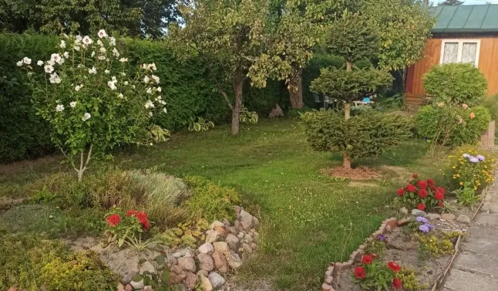 Działka rod Radomsko
