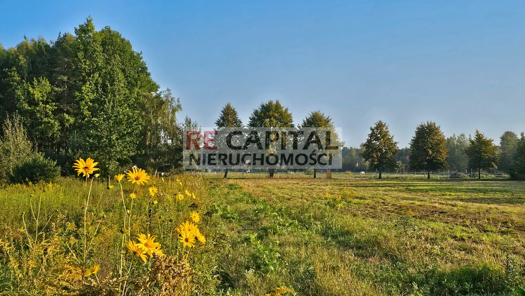 Działka budowlana Borzęcin Duży. Zdjęcie 7