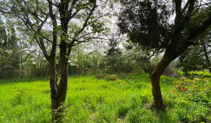 Działka rod Warszawa Praga-Południe