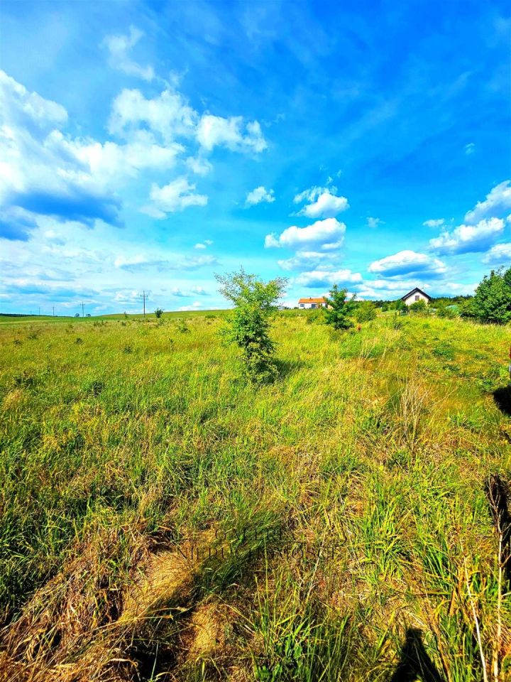 Działka budowlana Woryty. Zdjęcie 2