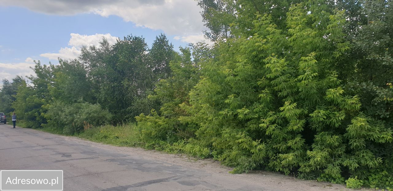 Działka inwestycyjna Serniki. Zdjęcie 2