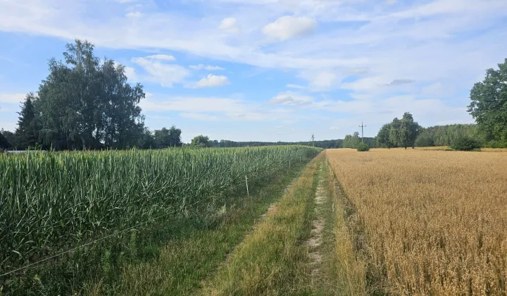 Działka budowlana Ldzań