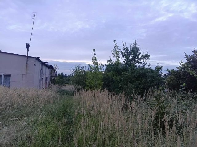 Działka budowlana Dmosin Drugi. Zdjęcie 1