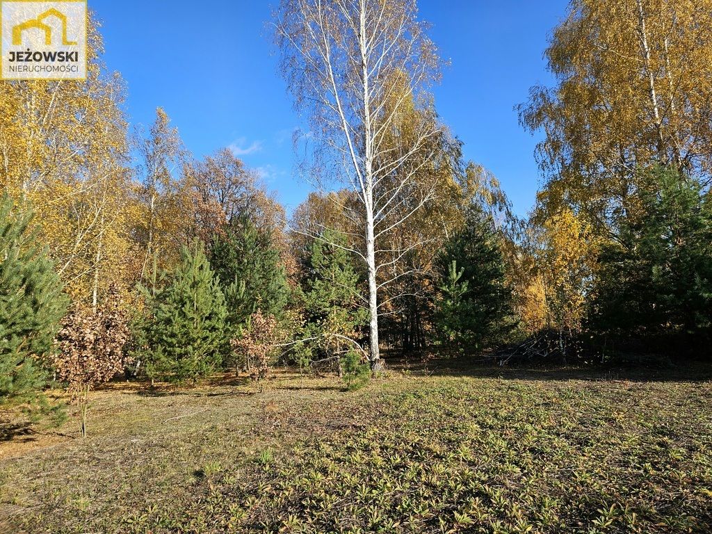 Działka budowlana Kolonia Góra Puławska. Zdjęcie 10