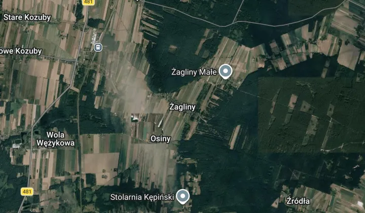Działka leśna Żagliny Żagliny Duże