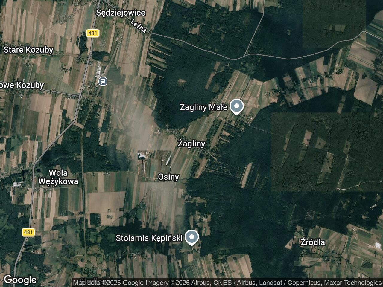 Działka leśna Żagliny Żagliny Duże. Zdjęcie 1