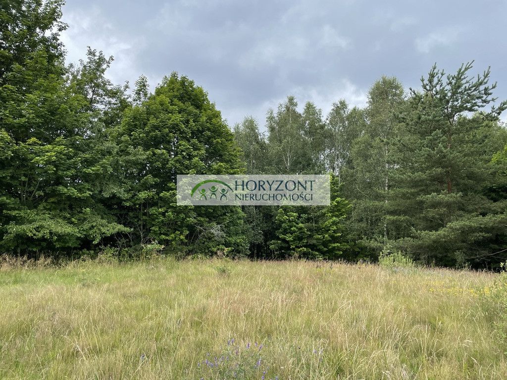 Działka Nowa Wieś Przywidzka. Zdjęcie 4