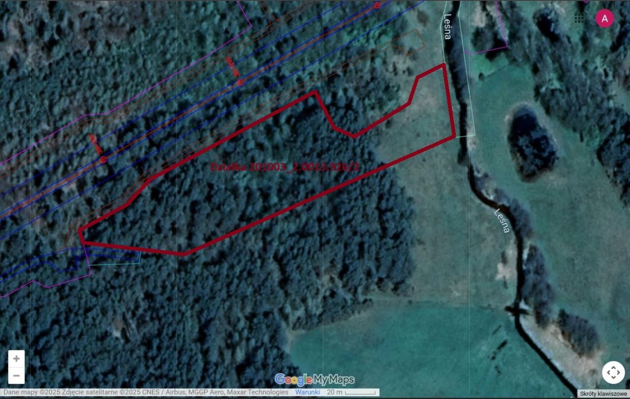 Działka leśna Osmola. Zdjęcie 2