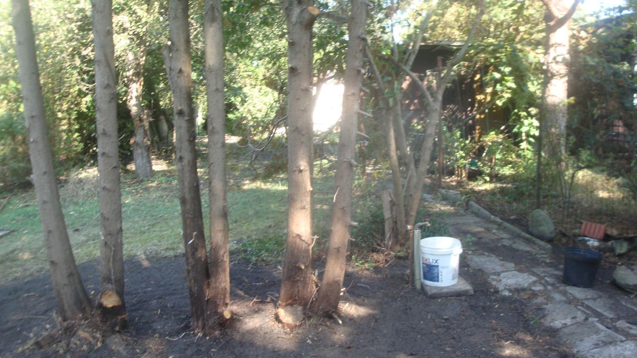 Działka rod Warszawa Mokotów, ul. Piaseczyńska. Zdjęcie 9