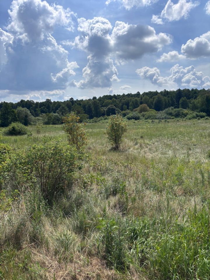 Działka siedliskowa Rożki Adamów. Zdjęcie 3