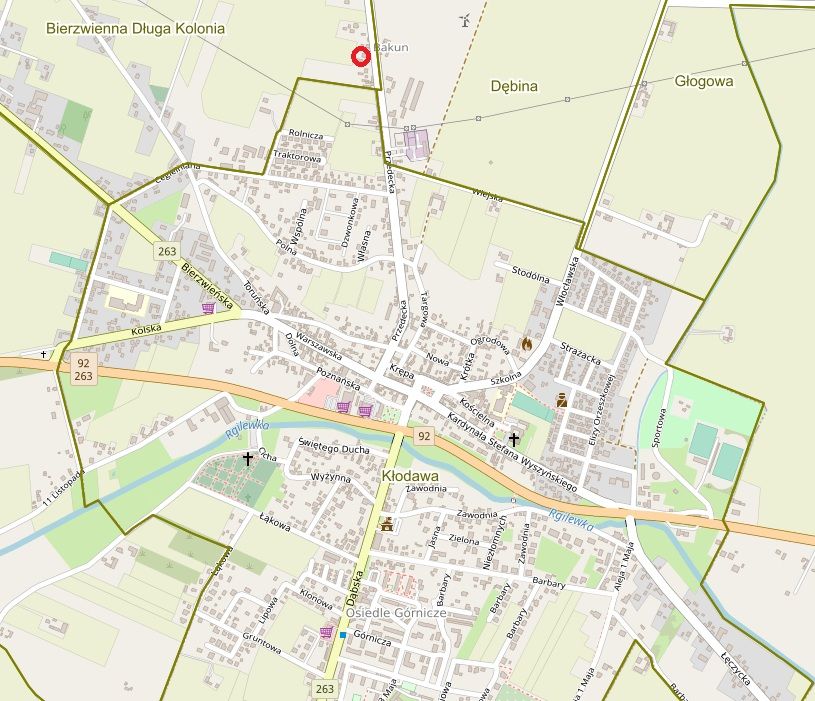 dom wolnostojący, 4 pokoje Bierzwienna Długa-Kolonia. Zdjęcie 4