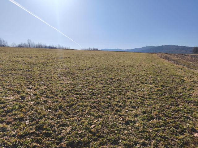 Działka rolna Dębowa. Zdjęcie 1