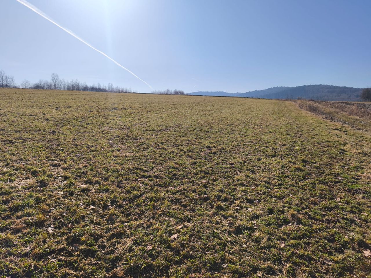 Działka rolna Dębowa. Zdjęcie 1