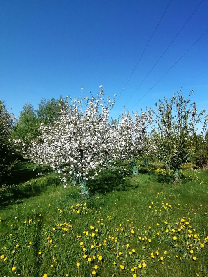 dom wolnostojący, 5 pokoi Michałów Grabina. Zdjęcie 6