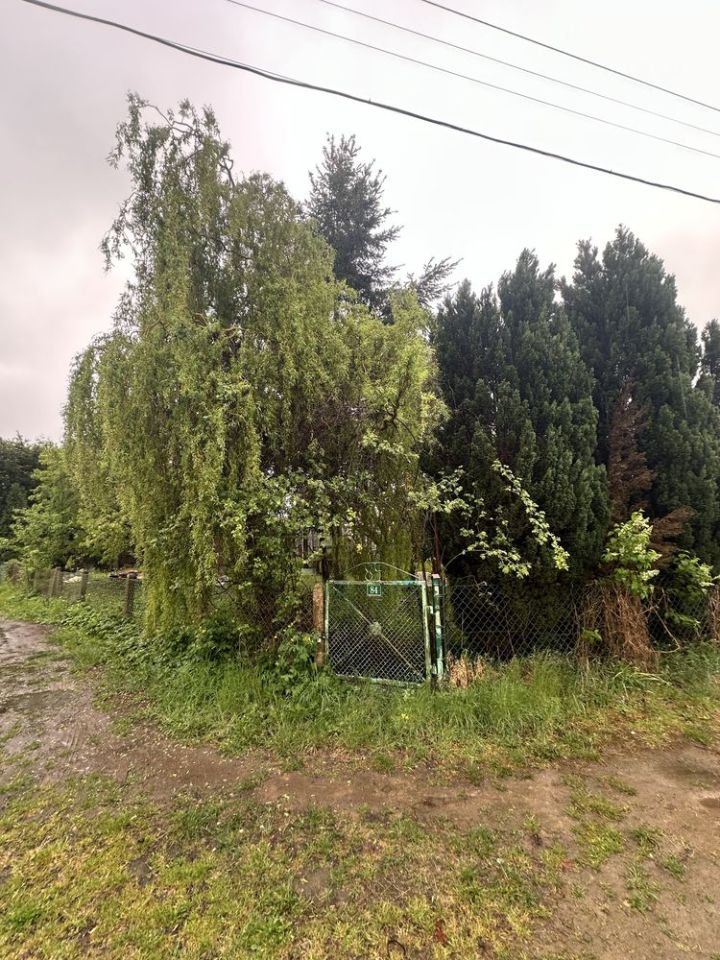Działka rod Szczecin Pomorzany, ul. Przy Ogrodach. Zdjęcie 6