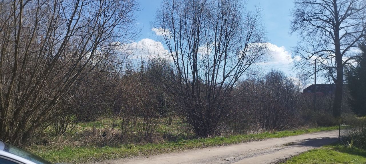 Działka budowlana Skrzydlice. Zdjęcie 6