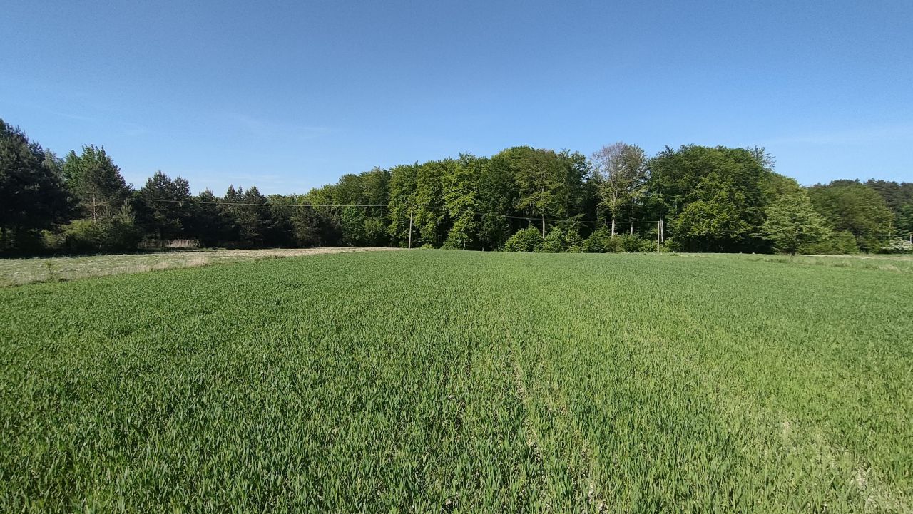 Działka rolna Bliżów Bliżów-Kolonia. Zdjęcie 4