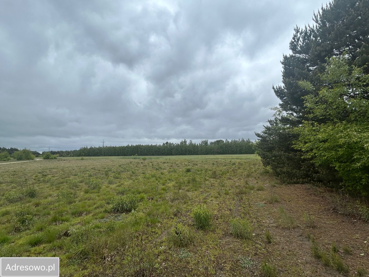 Działka budowlana Łacha, ul. Księcia Witolda. Zdjęcie 3