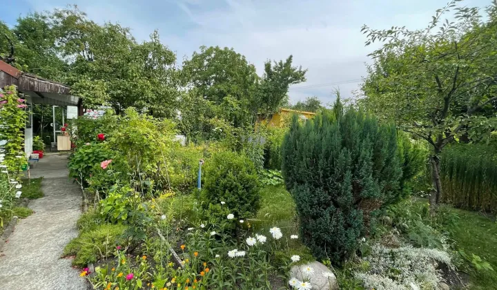 Działka rod Białystok, ul. Adama Mickiewicza