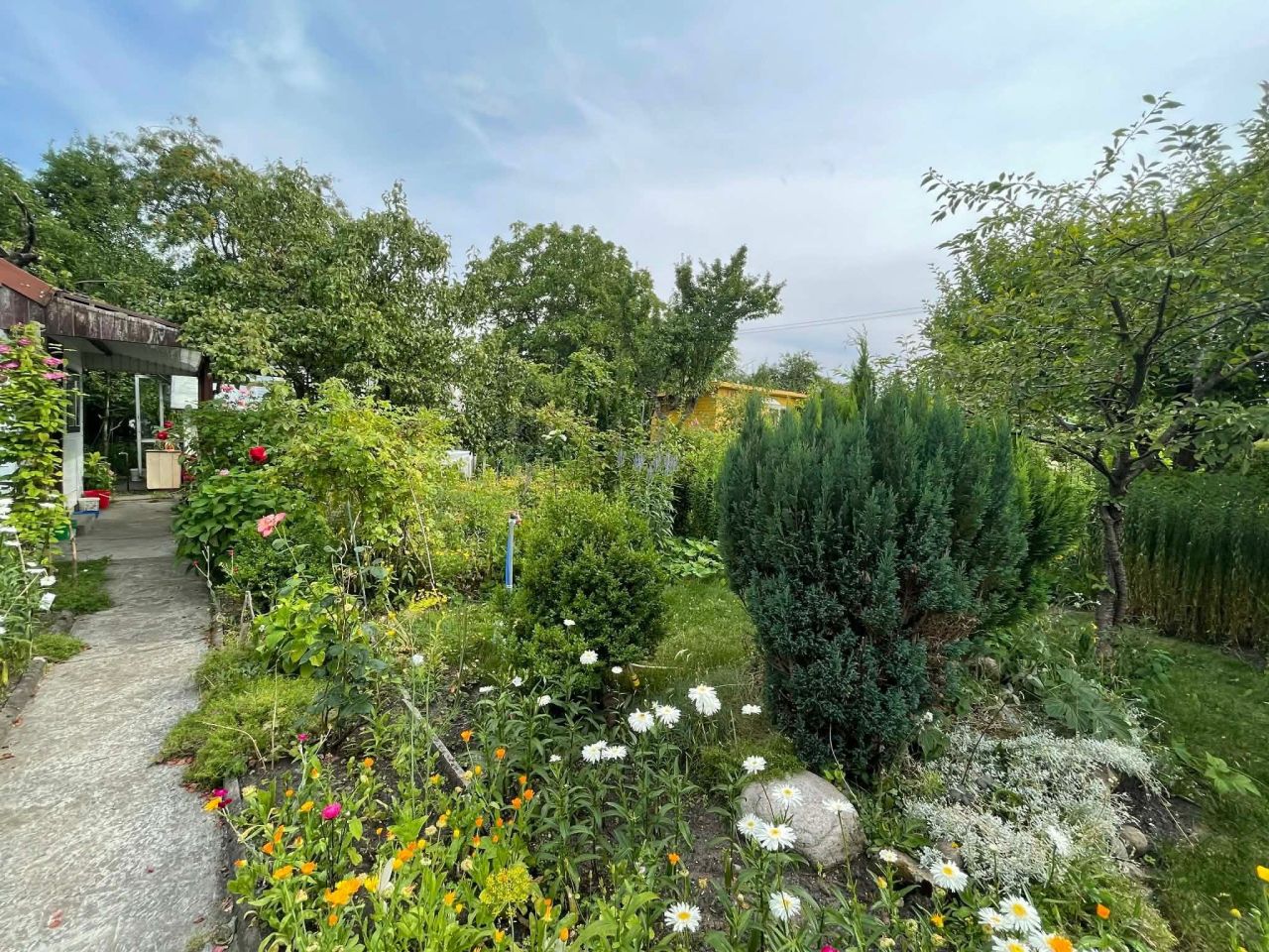 Działka rod Białystok, ul. Adama Mickiewicza. Zdjęcie 1