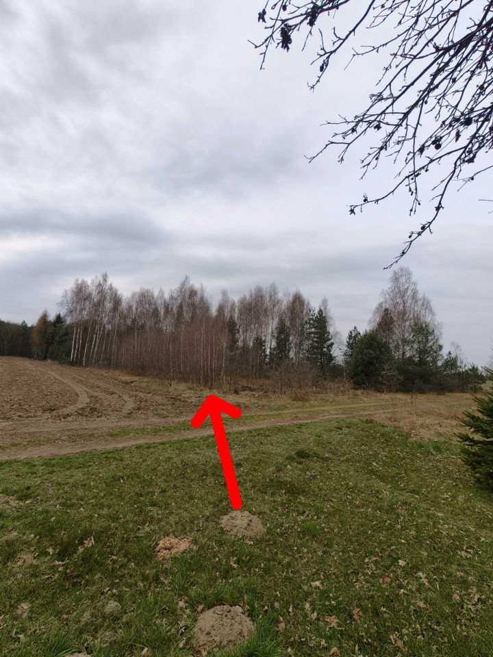 Działka rolno-budowlana Józefów. Zdjęcie 2