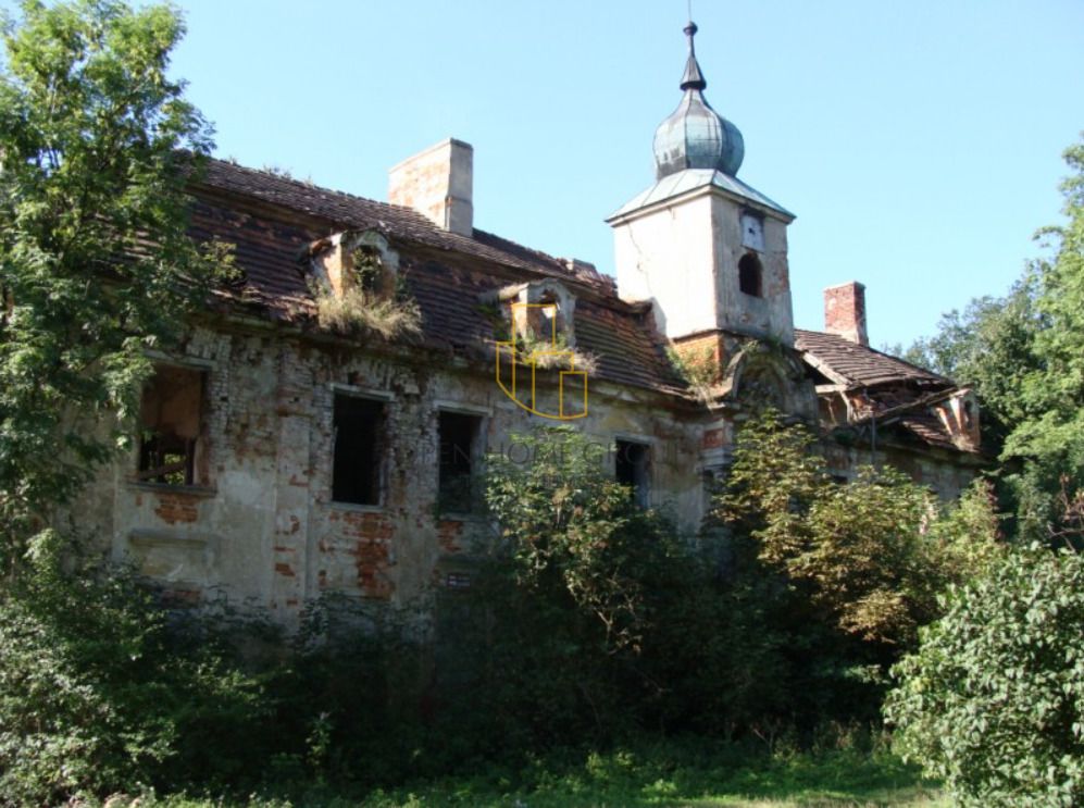 Działka Wojciechów. Zdjęcie 3