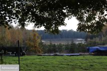 siedlisko, 6 pokoi Tuliszków. Zdjęcie 4