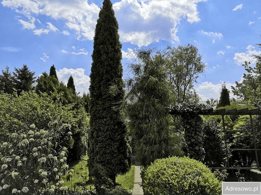 Działka rod Tarnobrzeg. Zdjęcie 8