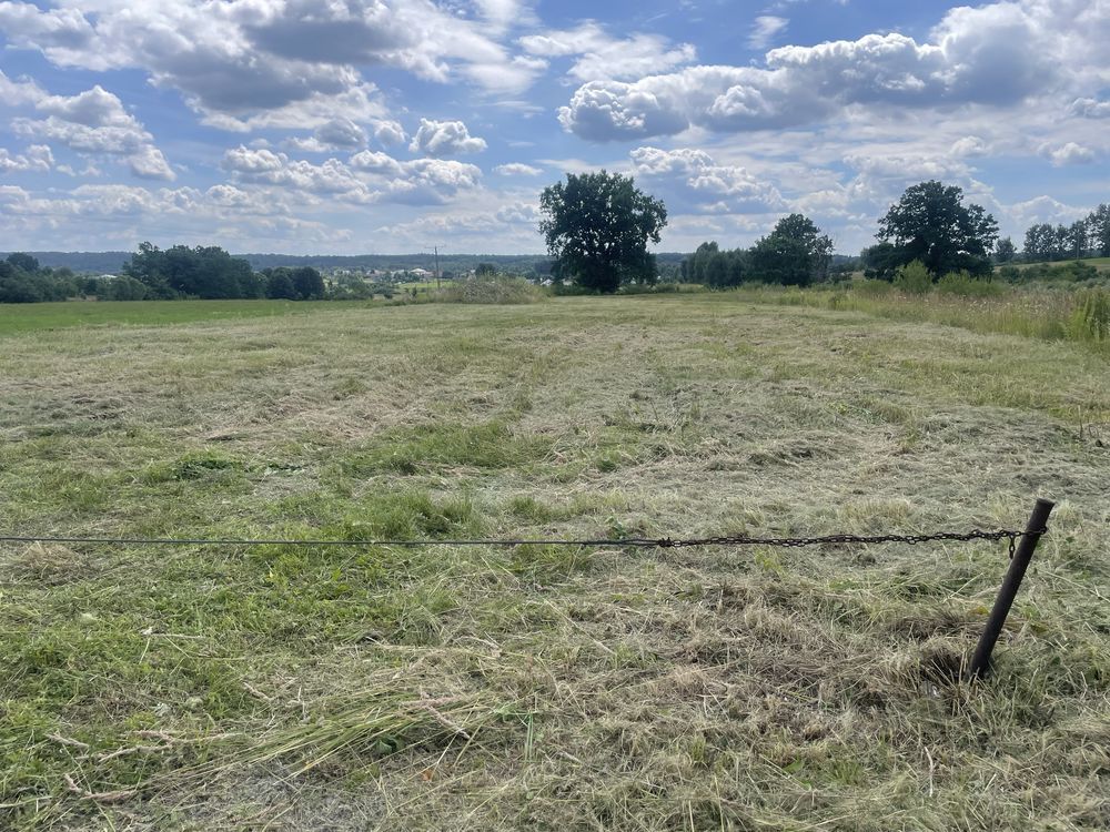 Działka rolno-budowlana Dąbrowa Górnicza Łazy, ul. Łazy Błędowskie. Zdjęcie 3