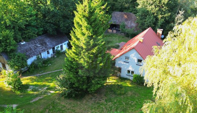 Działka siedliskowa Słubica Dobra, ul. Graniczna. Zdjęcie 12