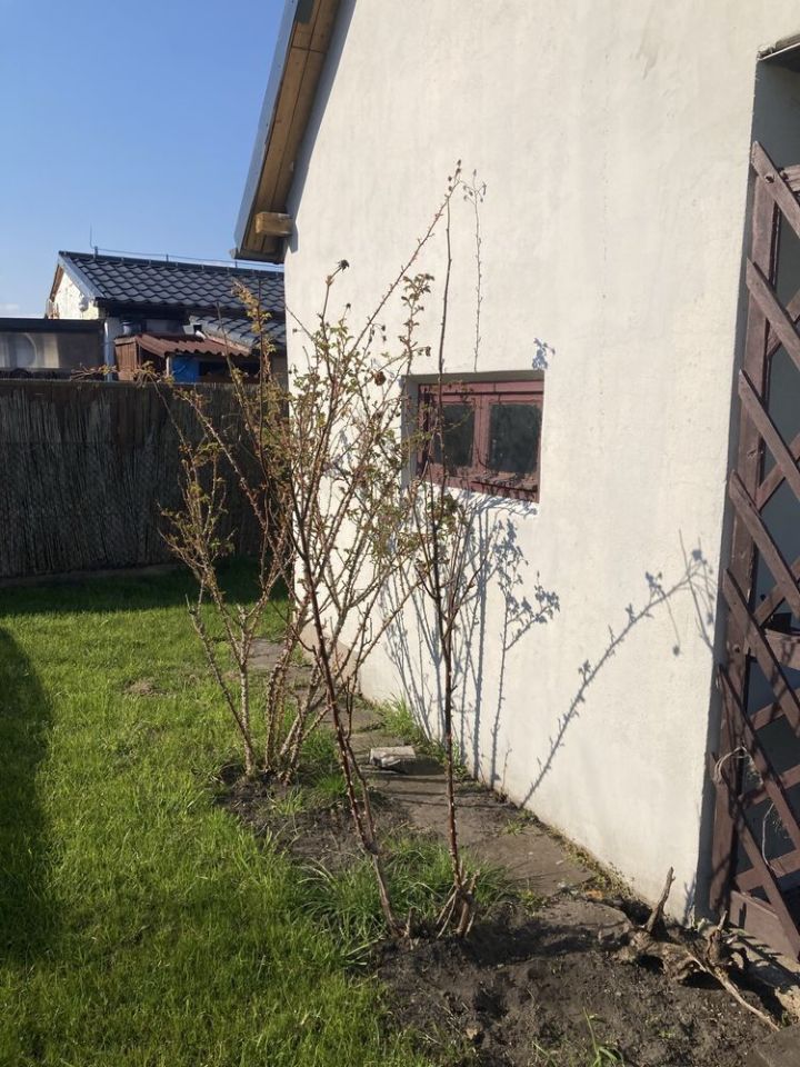 Działka rod Stargard, ul. Na Grobli. Zdjęcie 2