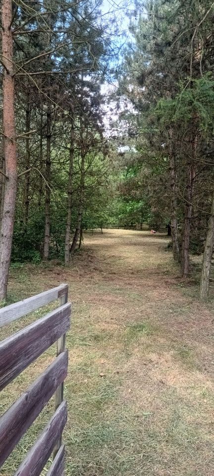 Działka Rudno. Zdjęcie 2