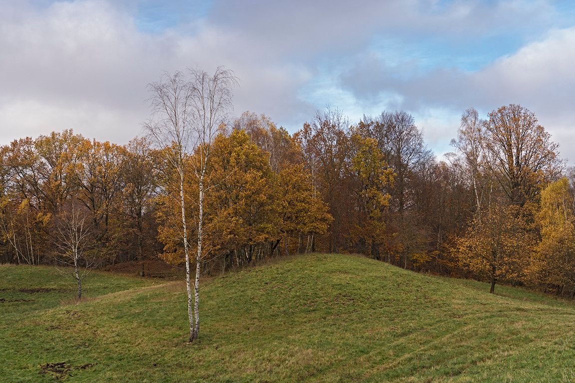 Działka rolna Sarnikierz. Zdjęcie 5