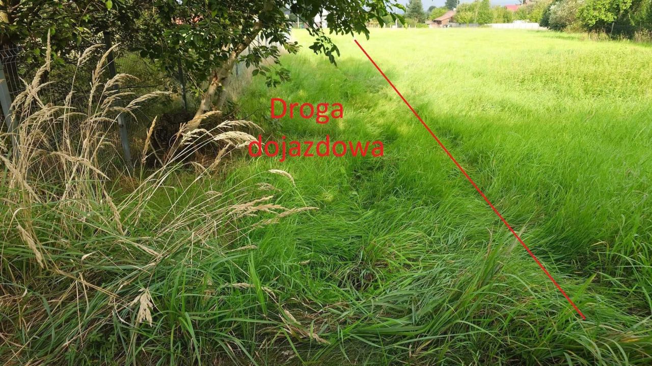 Działka budowlana Lipowa. Zdjęcie 8