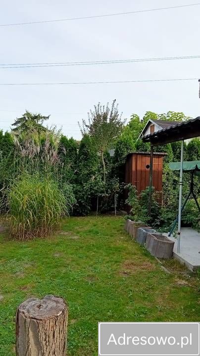 Działka rod Łódź Radogoszcz, ul. Brzegowa. Zdjęcie 3