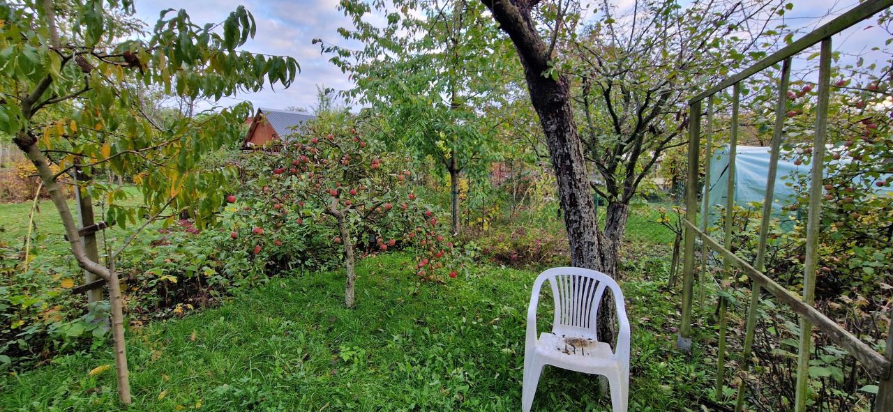 Działka rod Bolesławiec, ul. Piastów. Zdjęcie 6