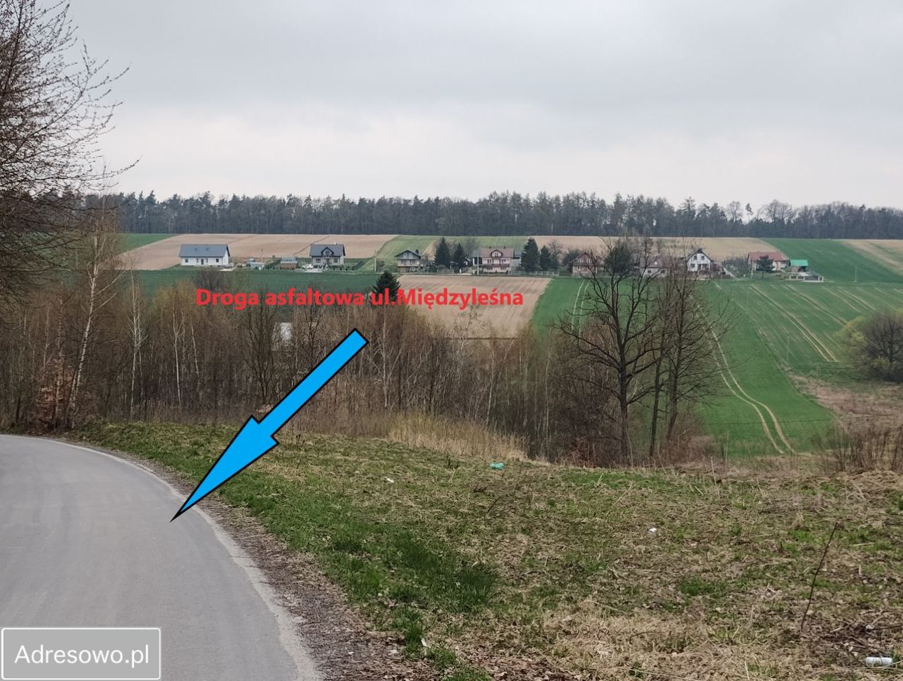 Działka budowlana Celiny, ul. Rajska. Zdjęcie 4