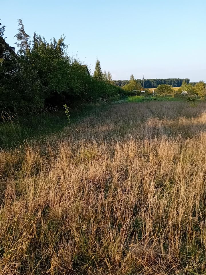 Działka rekreacyjna Woroniec. Zdjęcie 3