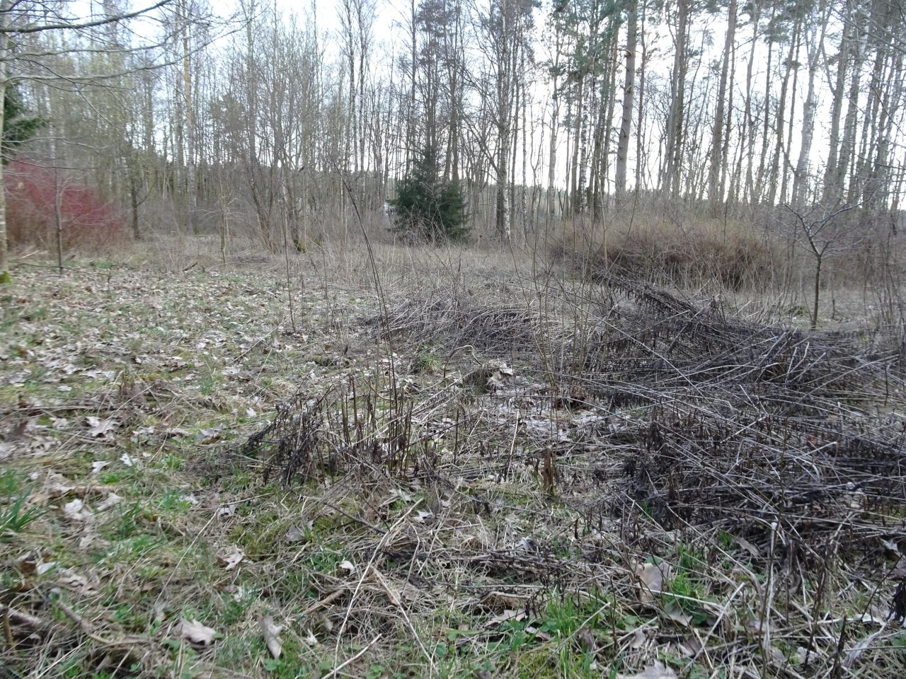 Działka budowlana Mątki. Zdjęcie 5