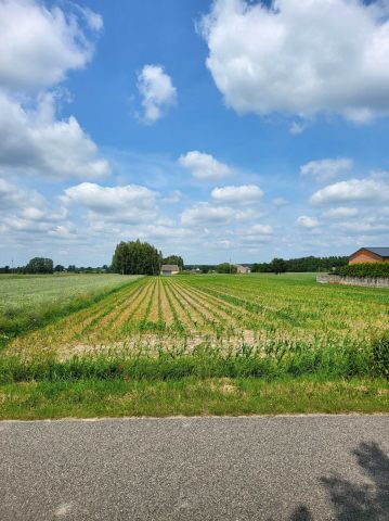 Działka budowlana Tołów. Zdjęcie 1