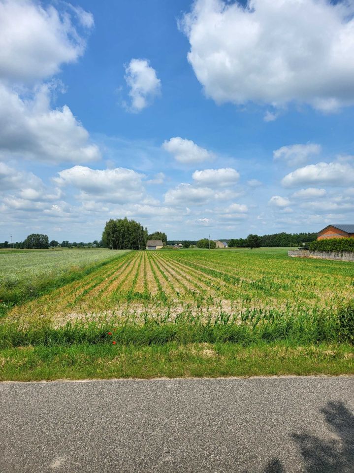 Działka budowlana Tołów