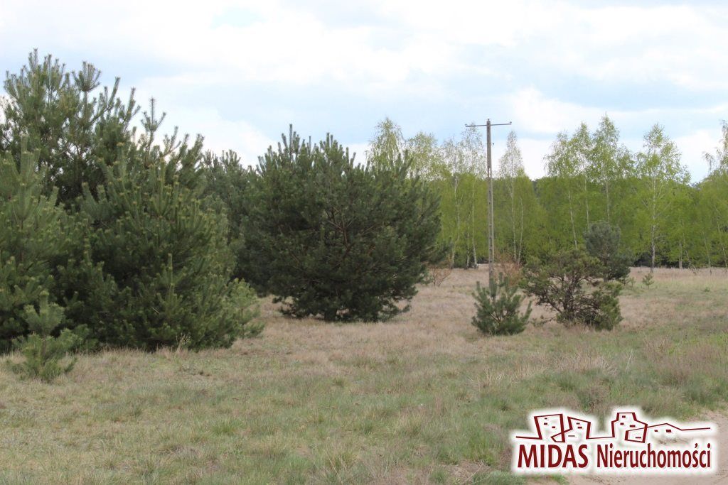 Działka budowlana Kowal. Zdjęcie 2