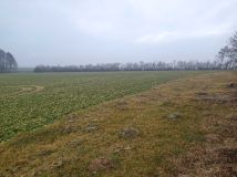 Działka rolna Cieśle Małe. Zdjęcie 1