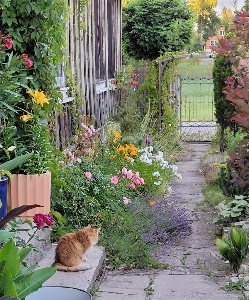dom wolnostojący, 2 pokoje Włodowice, N. Zdjęcie 25