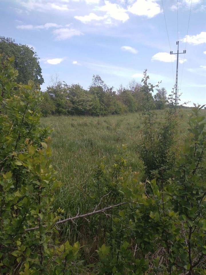Działka rolno-budowlana Ugoszcz, Dworcowa. Zdjęcie 2