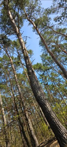 Działka budowlana Probostwo Dolne. Zdjęcie 6