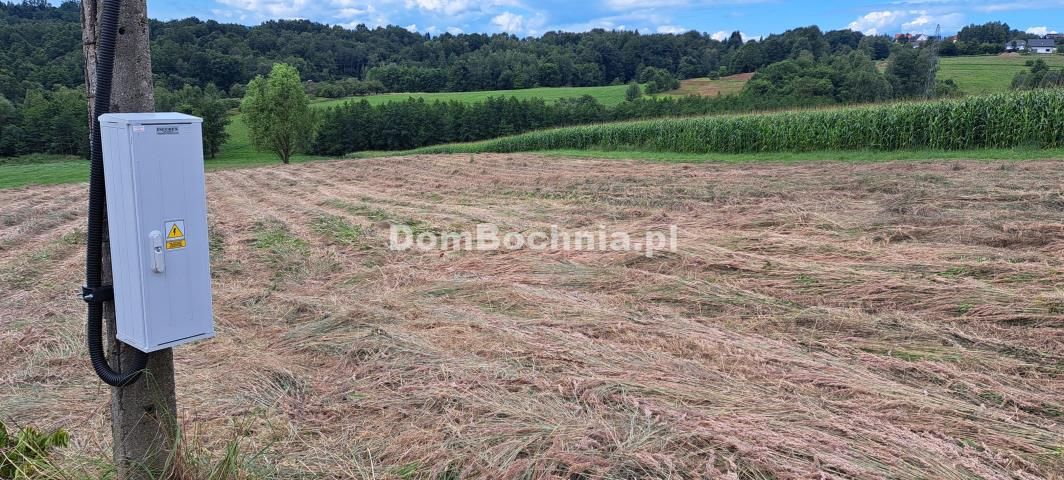 Działka rolno-budowlana Bieńkowice. Zdjęcie 5