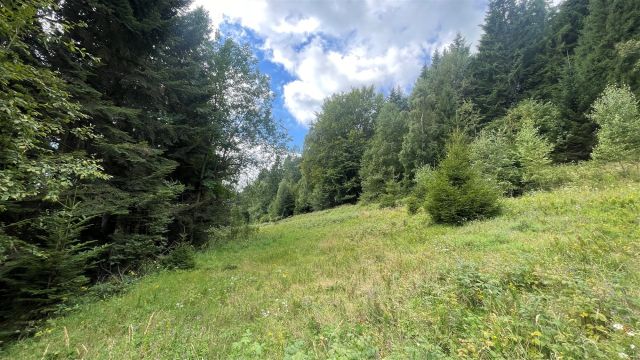 Działka rolna Krynica-Zdrój, ul. Zieleniewskiego. Zdjęcie 4